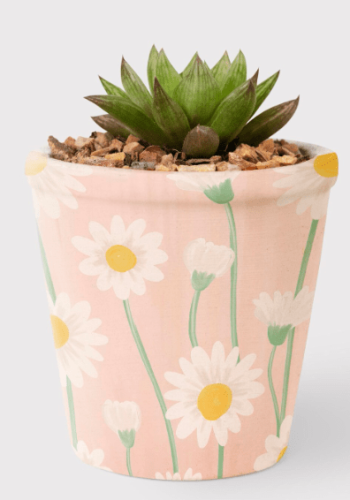 Pot de fleurs